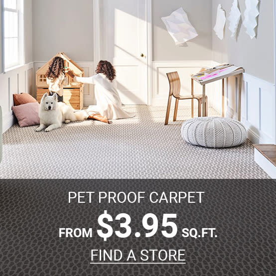 Alexanian Carpet And Flooring London Ontario